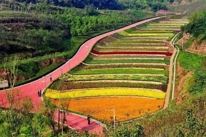 農家樂